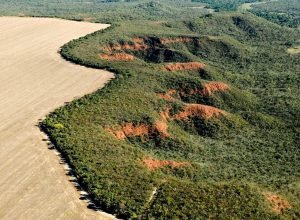camara-aprova-novas-regras-para-licenciamento-ambiental