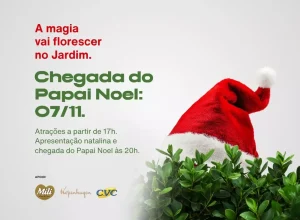 curitiba__Arte Natal