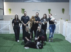 À frente do negócio está Rodolfo Tornesi, ex-CEO da Jasmine Alimentos e da Flormel, que estreia no universo pet com projeto autoral e equipe certificada Créditos: Hugo Oliveira/Tulipa Dog
