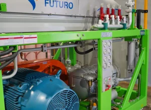 Ismanya Iasmym Nalim Guimarães Parada Vendrami