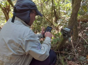 Tecnologia SMART Divulgação