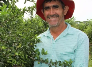 Foto: Arquivo pessoal. O produtor rural presidente da Cooperativa Frutipérola, Edson Pinguello.