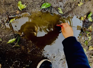 Oficinas gratuitas no Parque Barigui celebram o meio ambiente