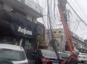 Organiza cabos Araucária (1)