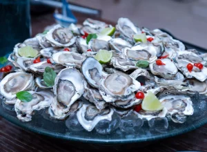 Ostras do Cabaraquara