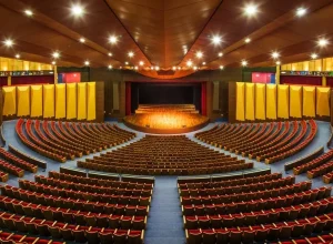 Conectividade, interação e engajamento durante os shows Créditos: Divulgação