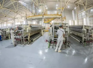 industria-parana-2025