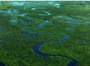 Cáceres_Pantanal