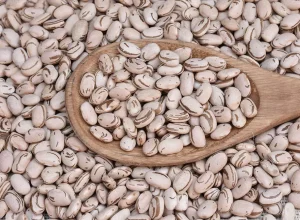 Cultivar apresenta teores mais elevados de ferro e zinco. Foto: Sebastião José de Araújo